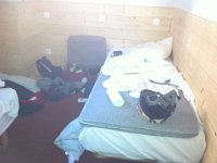 IMG 0868